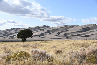 Hiking The Dunes at Great Sand Dunes National Park - By Lisa Ballard