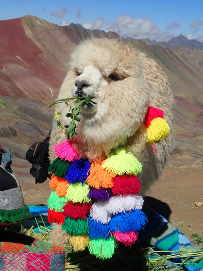 Rainbow Mountains: Hiking in Peru’s Technicolor Range - By Lisa Ballard