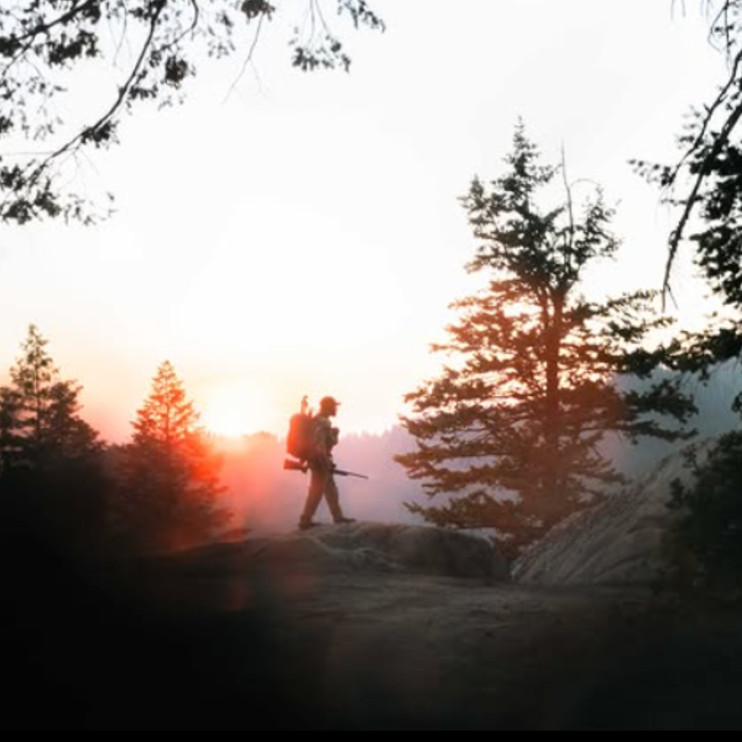 Distance photo of a hunter's silhouette at sunrise