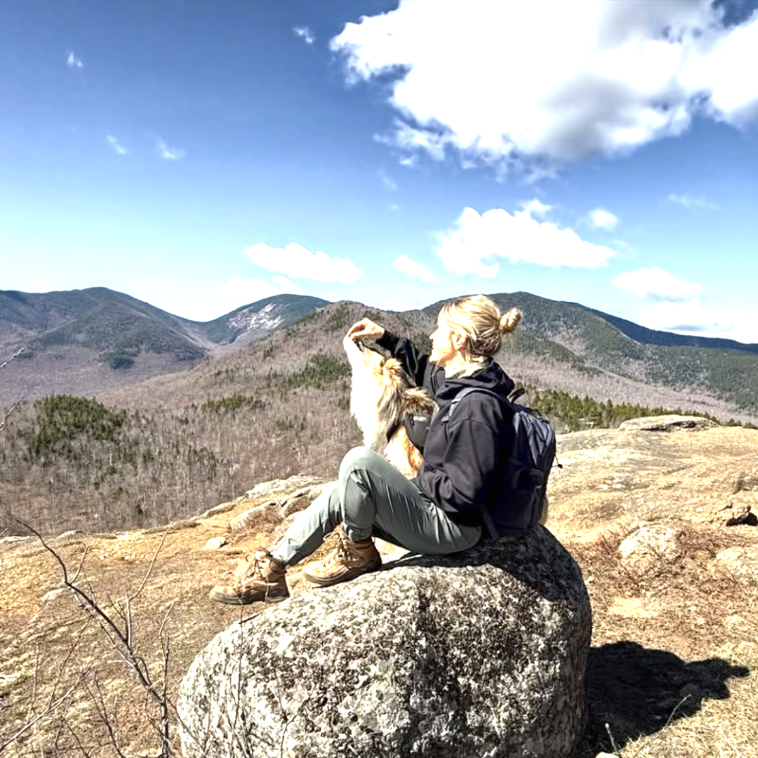 Person sitting on a rock with a dog, overlooking a mountainous landscape.